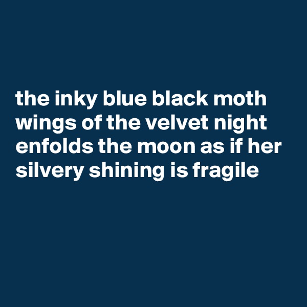 


the inky blue black moth wings of the velvet night enfolds the moon as if her silvery shining is fragile



