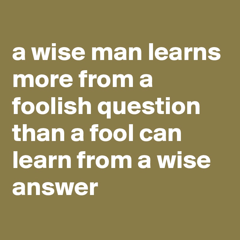wise men learn more from fools