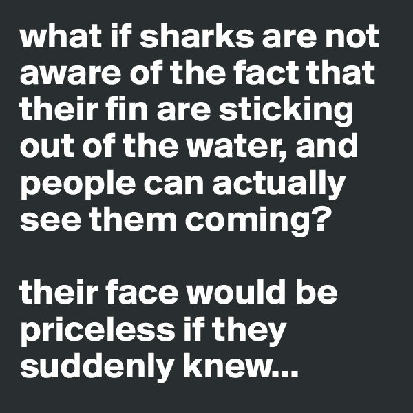 what if sharks are not aware of the fact that their fin are sticking out of the water, and people can actually see them coming?

their face would be priceless if they suddenly knew...