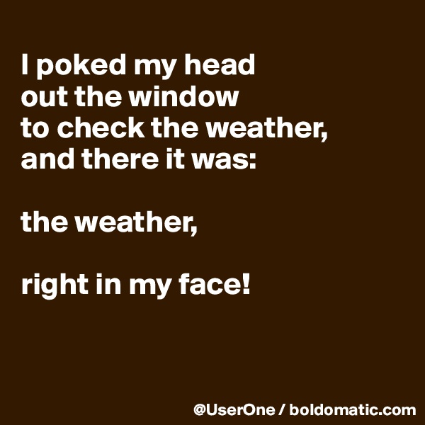 
I poked my head
out the window
to check the weather,
and there it was:

the weather,

right in my face!


