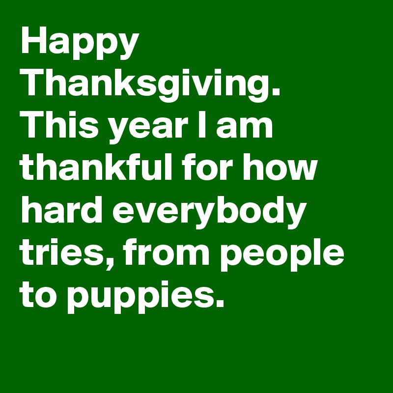 Happy Thanksgiving. This year I am thankful for how hard everybody tries, from people to puppies.
