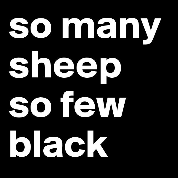 so many sheep so few black