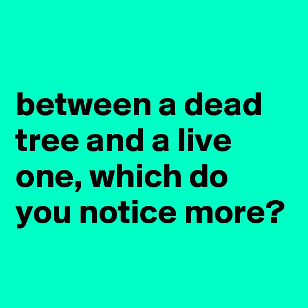 

between a dead tree and a live one, which do you notice more?
