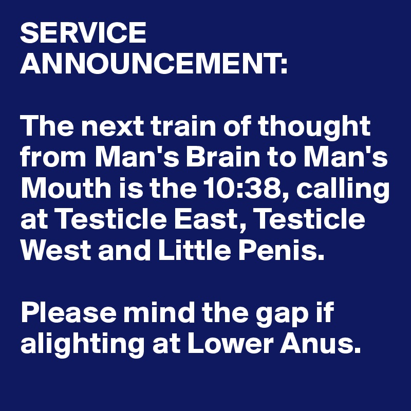 SERVICE ANNOUNCEMENT:

The next train of thought from Man's Brain to Man's Mouth is the 10:38, calling at Testicle East, Testicle West and Little Penis. 

Please mind the gap if alighting at Lower Anus. 
