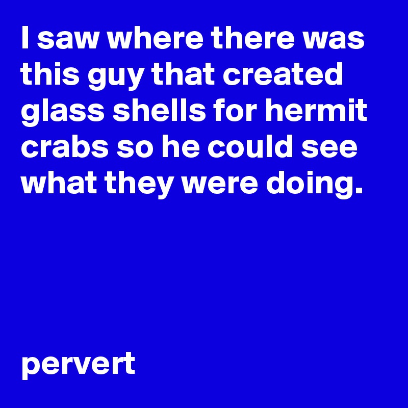 I saw where there was this guy that created glass shells for hermit crabs so he could see what they were doing. 




pervert