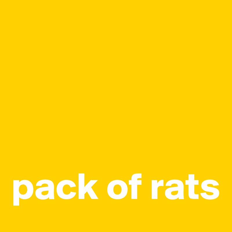 



pack of rats