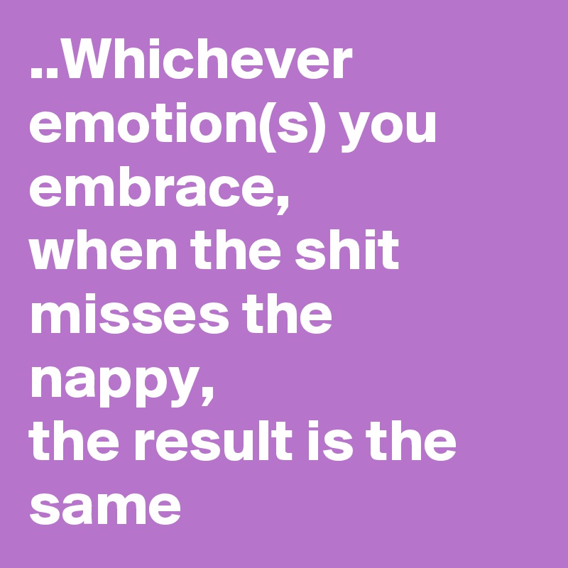..Whichever emotion(s) you embrace,
when the shit misses the nappy,
the result is the same