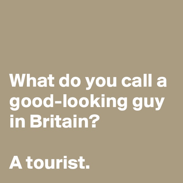 


What do you call a good-looking guy in Britain?

A tourist.
