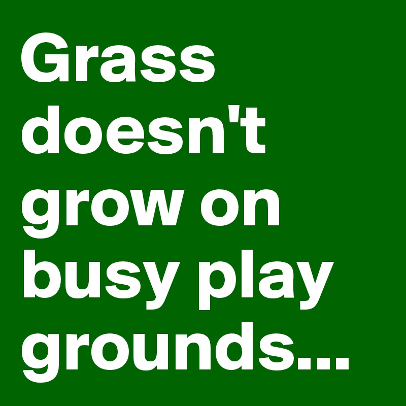Grass doesn't grow on busy play grounds...
