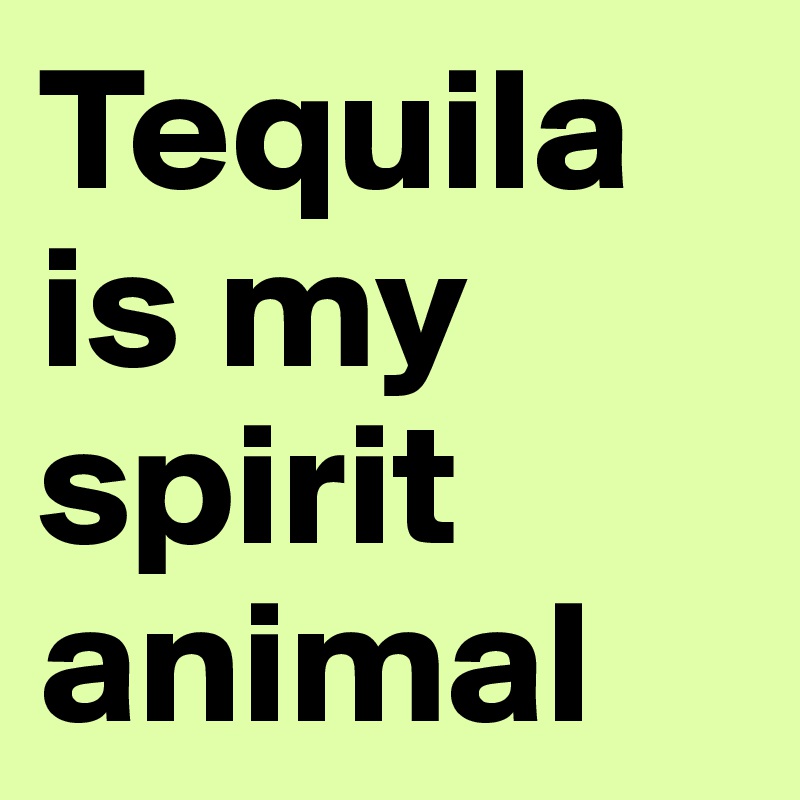 Tequila is my spirit animal