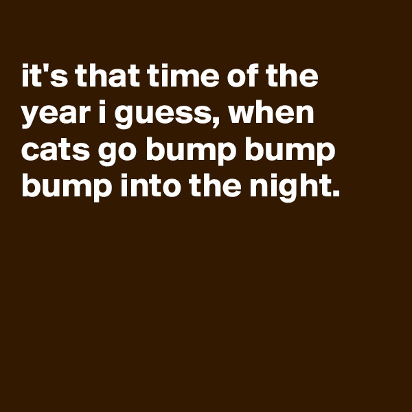 
it's that time of the year i guess, when cats go bump bump bump into the night.




