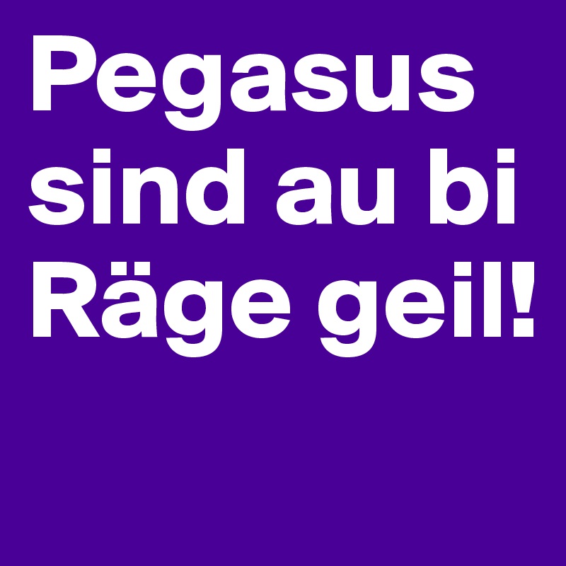 Pegasus sind au bi Räge geil!
