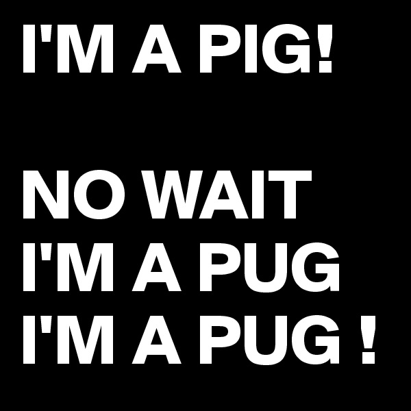 I'M A PIG!

NO WAIT
I'M A PUG 
I'M A PUG !