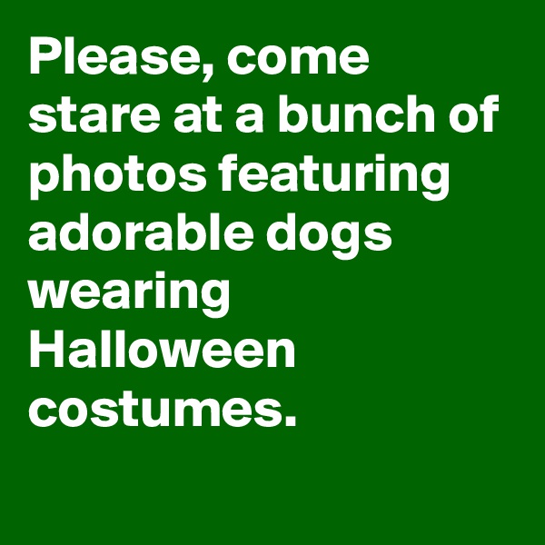 Please, come stare at a bunch of photos featuring adorable dogs wearing Halloween costumes.