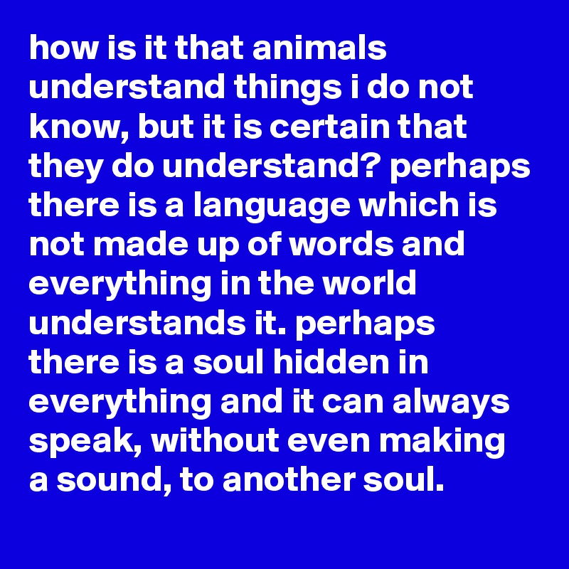 how is it that animals understand things i do not know, but it is certain that they do understand? perhaps there is a language which is not made up of words and everything in the world understands it. perhaps there is a soul hidden in everything and it can always speak, without even making a sound, to another soul.