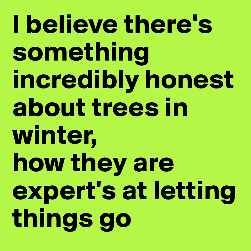 I believe there's something incredibly honest about trees in winter,
how they are expert's at letting things go