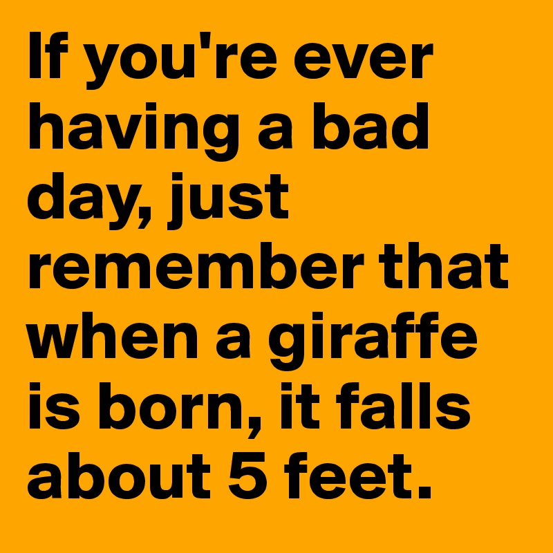 If you're ever having a bad day, just remember that when a giraffe is born, it falls about 5 feet.