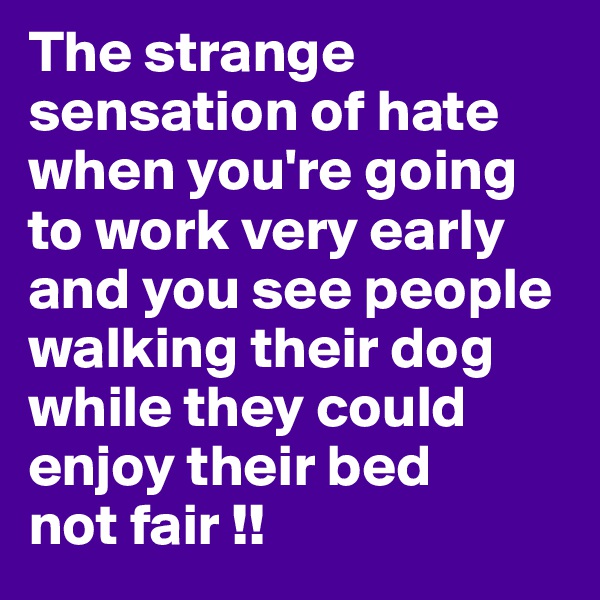 The strange sensation of hate when you're going to work very early and you see people walking their dog while they could enjoy their bed
not fair !!