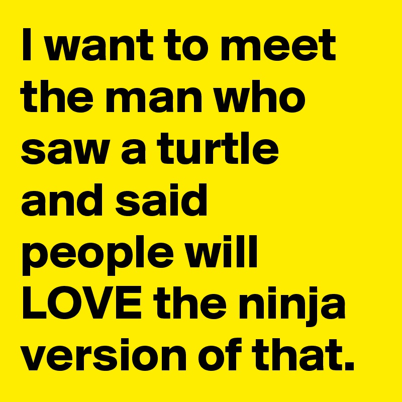 I want to meet the man who saw a turtle and said  people will LOVE the ninja version of that.