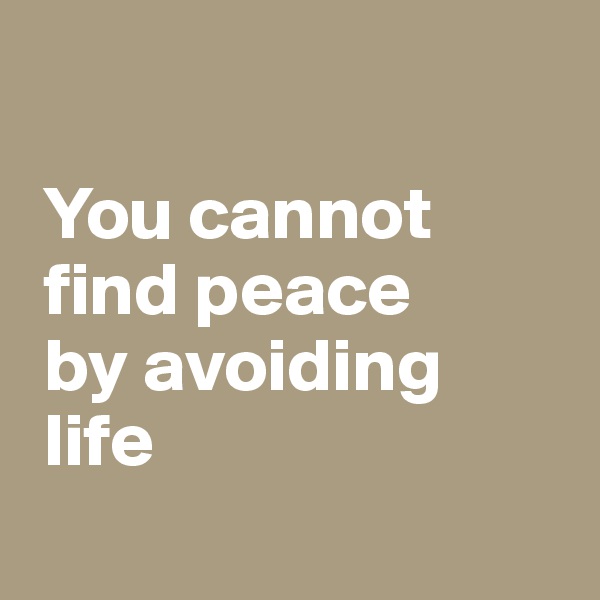 

 You cannot
 find peace 
 by avoiding 
 life
