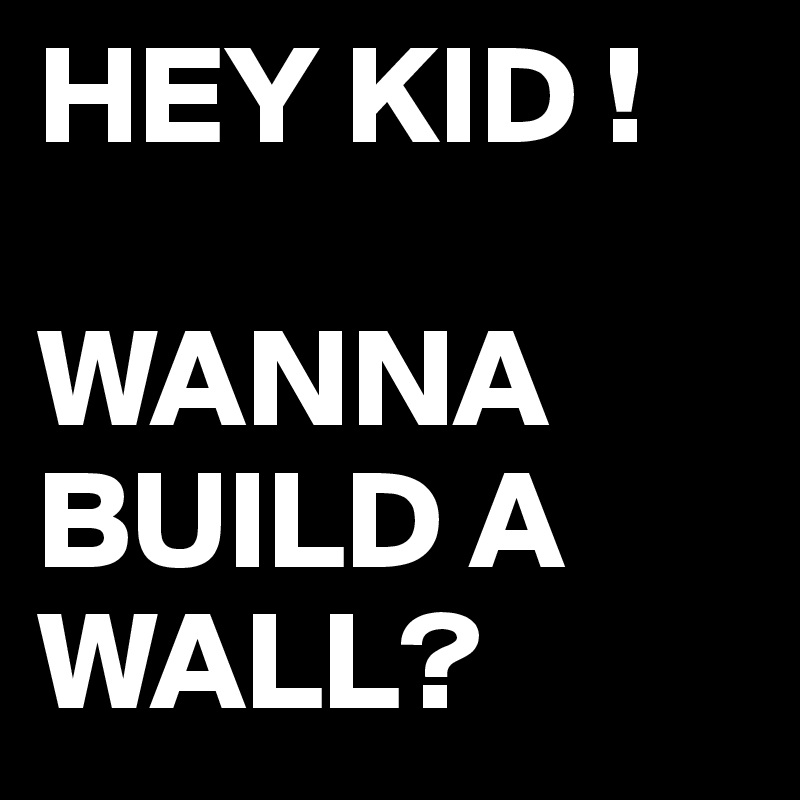 HEY KID !

WANNA BUILD A WALL?