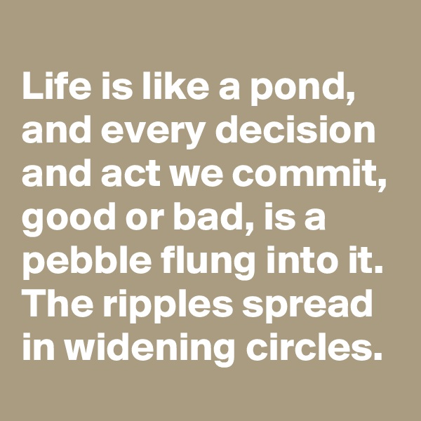 
Life is like a pond, and every decision and act we commit, good or bad, is a pebble flung into it. The ripples spread in widening circles.