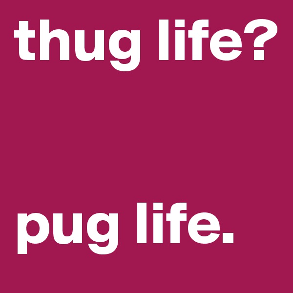thug life?


pug life. 