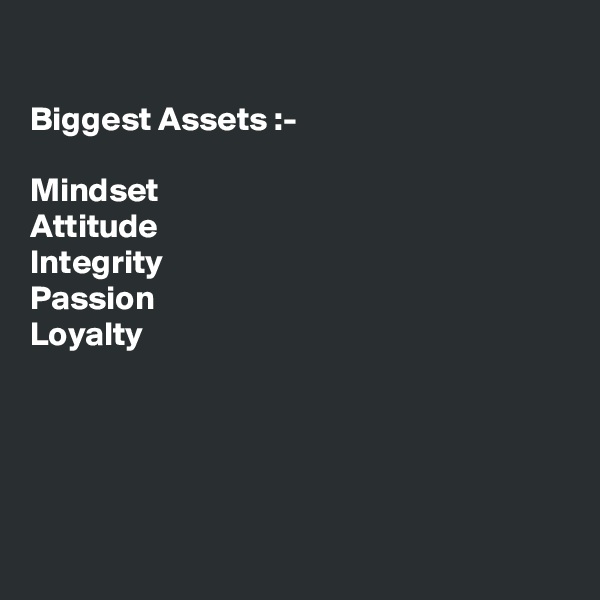 

Biggest Assets :-

Mindset 
Attitude 
Integrity 
Passion
Loyalty





