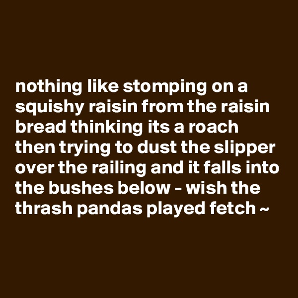 


nothing like stomping on a squishy raisin from the raisin bread thinking its a roach then trying to dust the slipper over the railing and it falls into the bushes below - wish the thrash pandas played fetch ~ 

