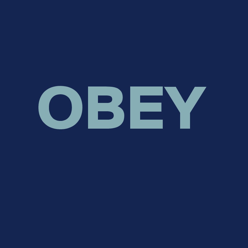 
  OBEY