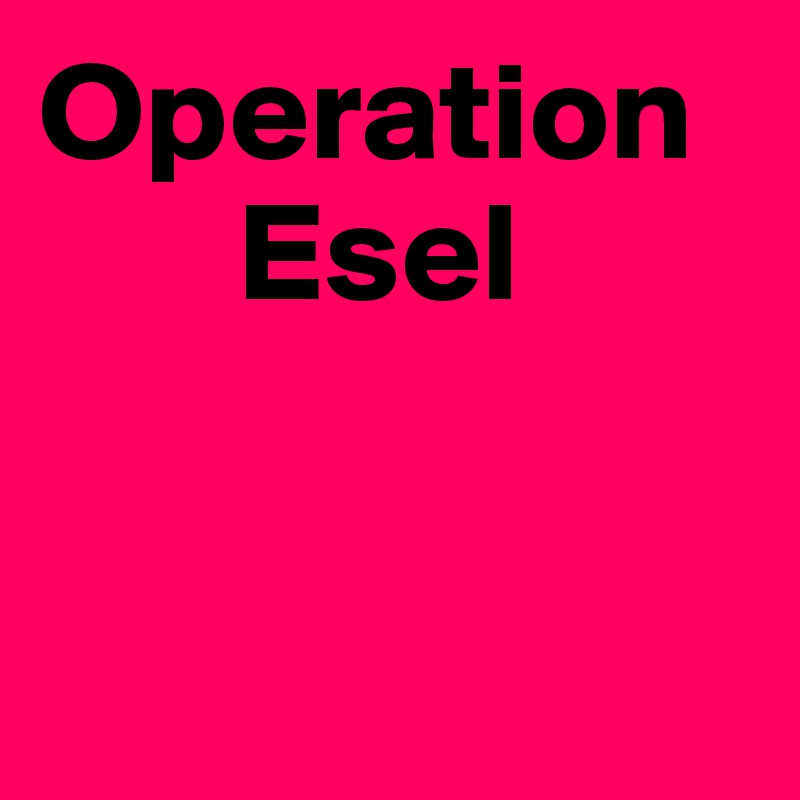 Operation 
       Esel


