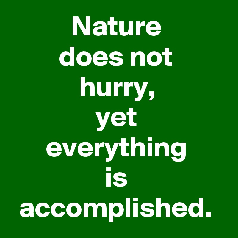 Nature
does not
hurry,
yet
everything
is accomplished.