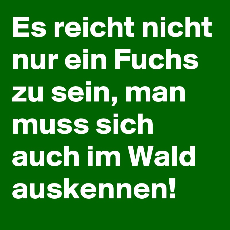 Es reicht nicht nur ein Fuchs zu sein, man muss sich auch im Wald auskennen!