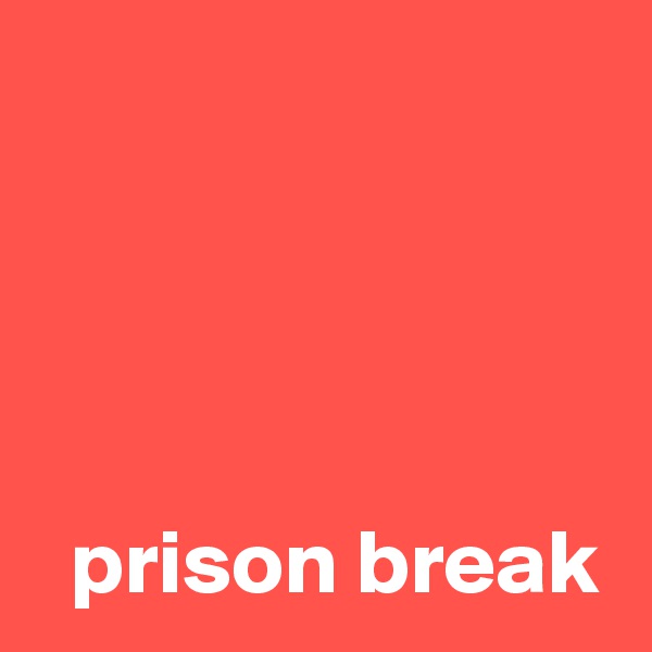 




  prison break