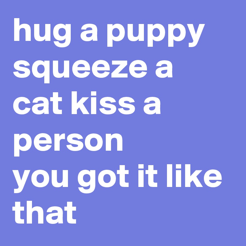 hug a puppy squeeze a cat kiss a person 
you got it like that 