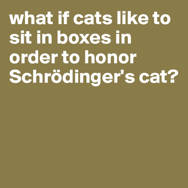what if cats like to sit in boxes in order to honor Schrödinger's cat? 



