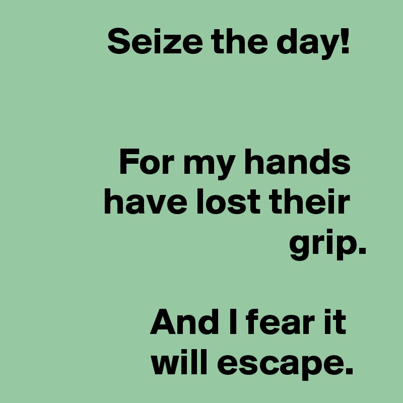 Seize the day!


For my hands have lost their grip.

And I fear it 
will escape.