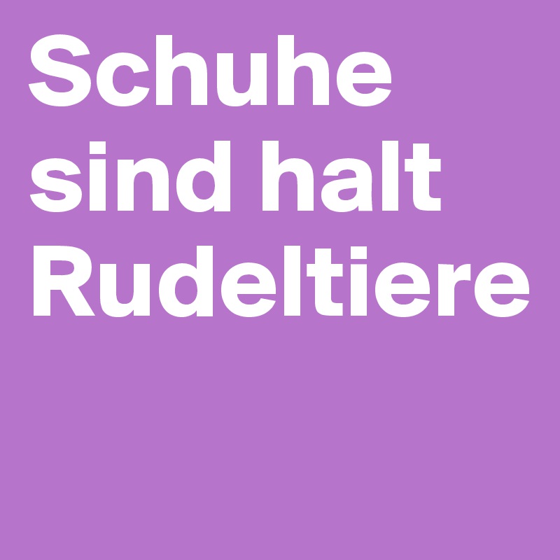 Schuhe sind halt Rudeltiere
