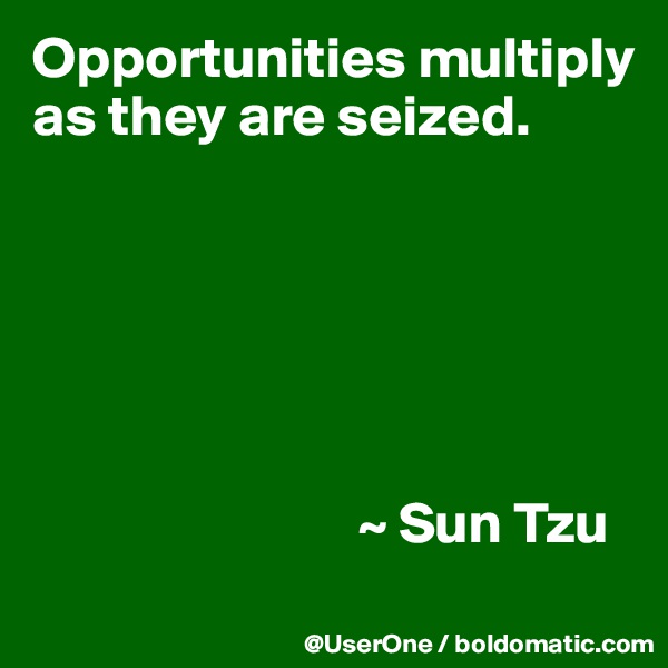 Opportunities multiply
as they are seized.


    



                            ~ Sun Tzu
