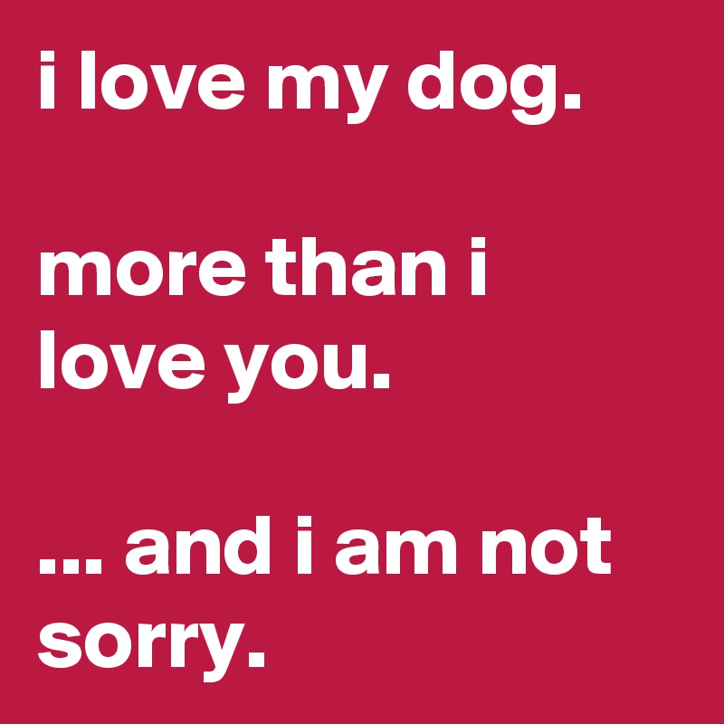 i love my dog.

more than i love you.

... and i am not sorry.