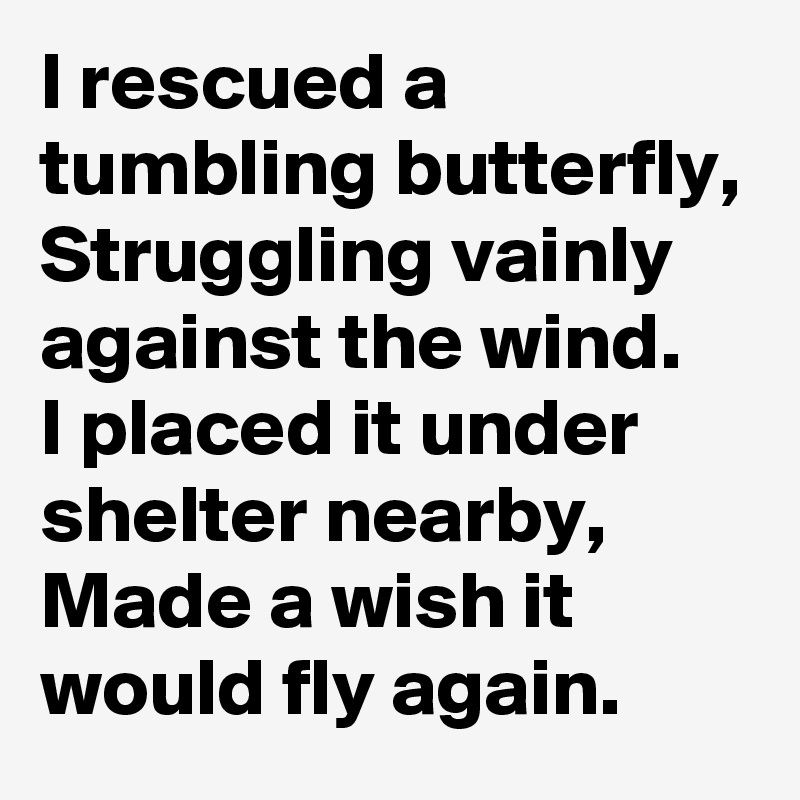 I rescued a tumbling butterfly,
Struggling vainly against the wind.
I placed it under shelter nearby,
Made a wish it would fly again.