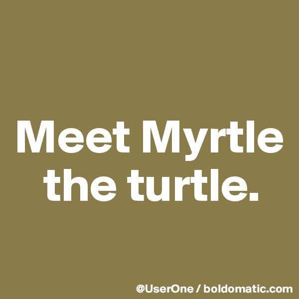 

Meet Myrtle
   the turtle.
