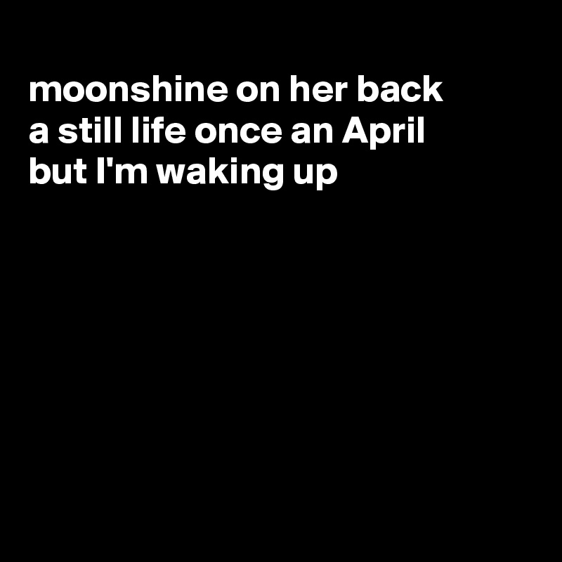
moonshine on her back
a still life once an April
but I'm waking up







