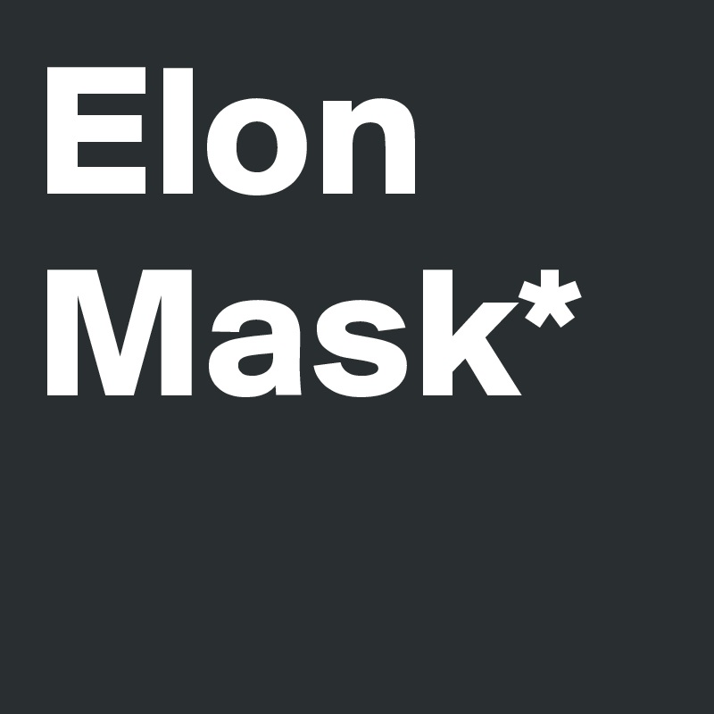 Elon Mask*
