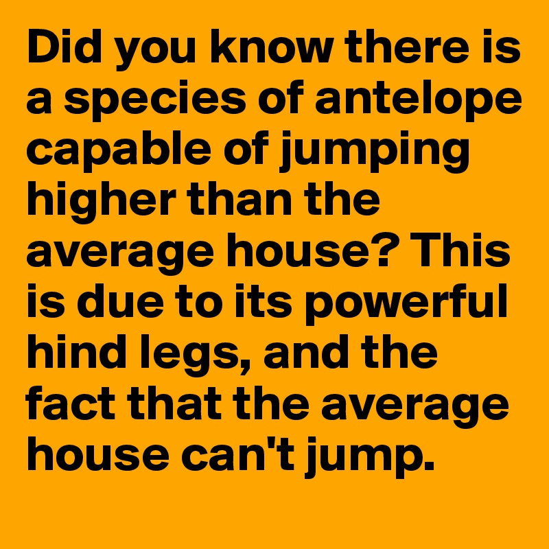 Did you know there is a species of antelope capable of jumping higher than the average house? This is due to its powerful hind legs, and the fact that the average house can't jump.