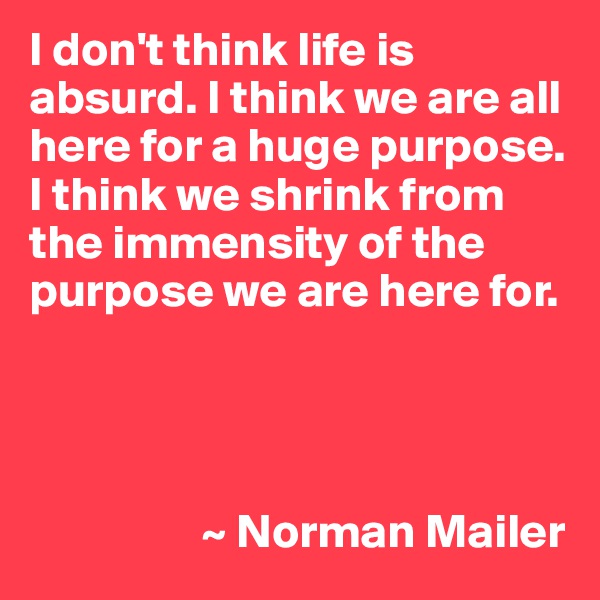 I don't think life is absurd. I think we are all here for a huge purpose. I think we shrink from the immensity of the purpose we are here for.




                  ~ Norman Mailer