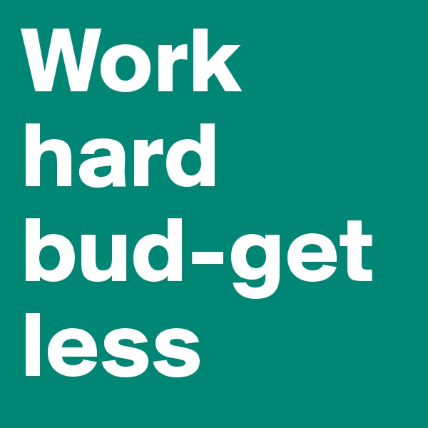 Work hard bud-get  less