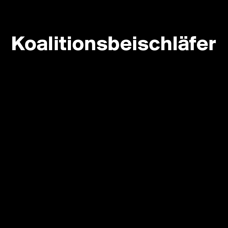 
Koalitionsbeischläfer






