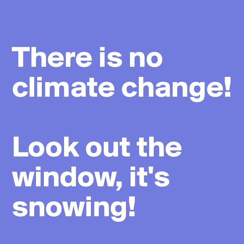 
There is no climate change! 

Look out the window, it's snowing!