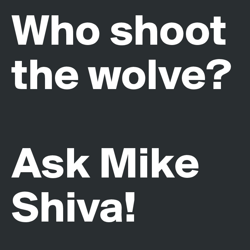 Who shoot the wolve? 

Ask Mike Shiva! 